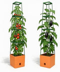 BioGreen 2 Pack Garden Tomato Planter MAXITOM, with Plant Support Trellis 59 inch and Self Watering, 4,2 Gal Planter Box for Climbing Vegetables Plants, Terracotta by BioGreenUSAInc