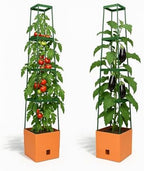 BioGreen 2 Pack Garden Tomato Planter MAXITOM, with Plant Support Trellis 59 inch and Self Watering, 4,2 Gal Planter Box for Climbing Vegetables Plants, Terracotta by BioGreenUSAInc