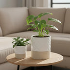 Nihow Self Watering Plant Pot for Indoor Plants: 4.5+6 Inch Ceramic Planter with Drainage Hole & Water Storage Plus - Cylinder Flower Pot with Wick for Herbs - Matte White & Brown Star - Image 4