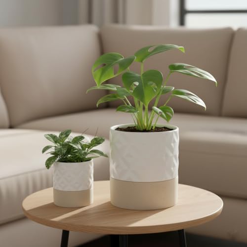 Nihow Self Watering Plant Pot for Indoor Plants: 4.5+6 Inch Ceramic Planter with Drainage Hole & Water Storage Plus - Cylinder Flower Pot with Wick for Herbs - Matte White & Brown Star - Image 4