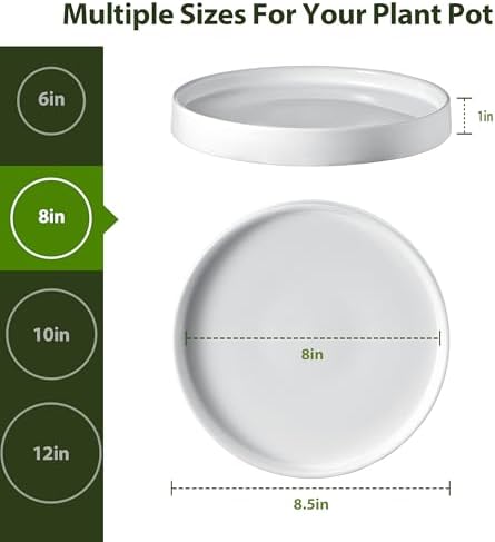 Ceramic Plant Saucer 8.5 Inch 2 Pack White, Fits Pot Base Under 8 Inch - Image 3