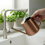 Watering Can Indoor Small for House Plant with Long Spout Stainless Steel 1000ml for Flowers Small Stainless Steel Watering Can - Image 6