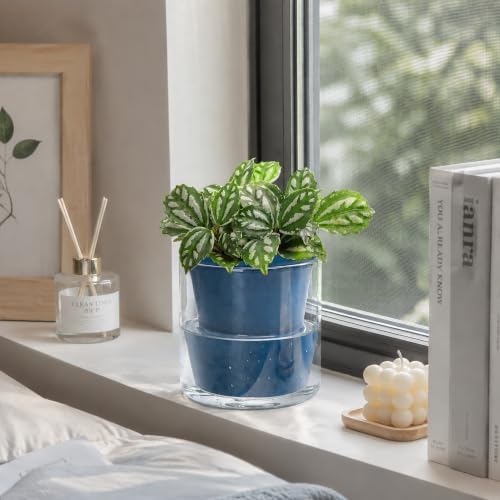 D'vine Dev Self-Watering Blue Terracotta Planter, 4 in, 4-Pack, 37-Z-A-4-F - Image 6