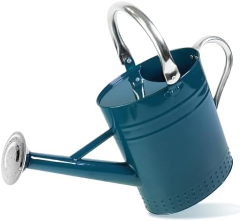 1 Gallon Metal Watering Can with Removable Spout, Nice Galvanized Steel Water Can with Embossed Design for Indoor and Outdoor Plants (Ocean Blue) by Megawodar