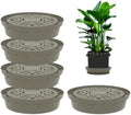 5-Pack Self-Watering Base with Visible Water Level by Molgoc