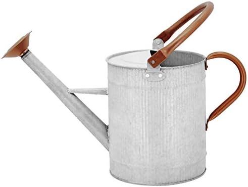 1 Gallon Watering Can, Metal Watering Can with Removable Spout, Farmhouse Galvanzied Water Can, Nice Plant Water Can for Indoor Use and for Outdoor Use - Image 2