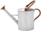 1 Gallon Watering Can, Metal Watering Can with Removable Spout, Farmhouse Galvanzied Water Can, Nice Plant Water Can for Indoor Use and for Outdoor Use - Image 2