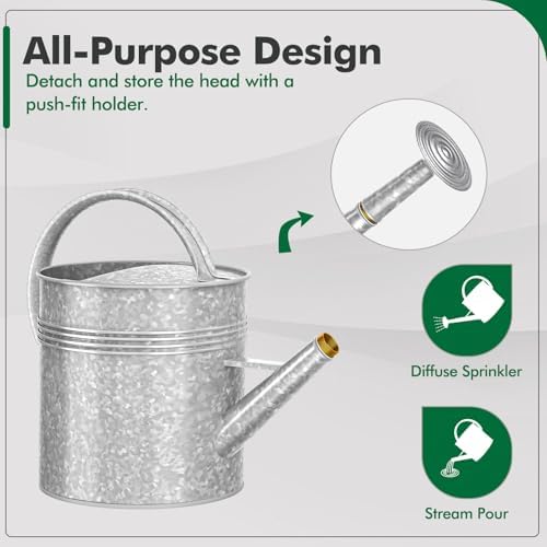 Galvanized Iron Watering Can for Indoor Plants, Oval Watering Cans for House Plant Garden Flower, Long Spout Water Can for Outdoor Watering Plants 9.46L 2.5 Gallon - Image 4