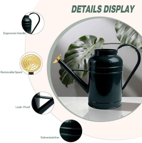LONGRUN 2.3 Gallon Dark Green Metal Watering Can Gold Nozzle for Plants and Garden with Removable Spout, Made of Galvanized Iron - Image 3