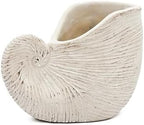 Nautilus Shell Planter, 8.5 Inch, Beige - Image 6