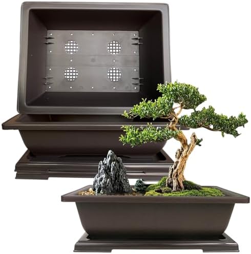 MUZHI 3PCS 12 Inch Retro Style Large Rectangular Garden Pots Bonsai Planters Pot with Humidity Tray,Repotting Bonsai Tree Growing Planter by MUZHI