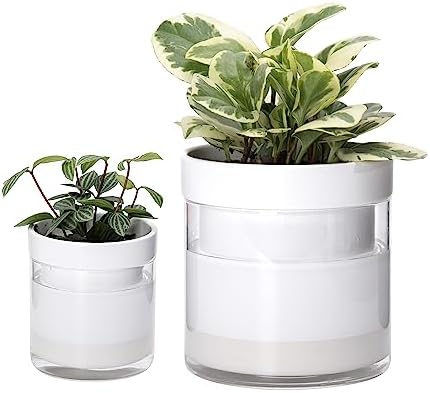 Phoenix Vine 6 Inch 4 Inch Self Watering Planter, White Terracotta Clay Pots with Glass Reservoir for Indoor Plants, Herbs, Flowers, 52-B-G-46 by Phoenix+Vine