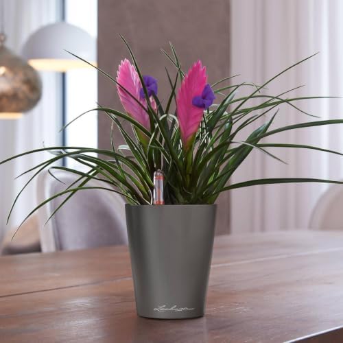 Lechuza MINI-DELTINI Charcoal Metallic, Self-Watering Small Indoor Planter, H5.1 L3.9 W3.9 in - Image 2