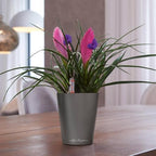 Lechuza MINI-DELTINI Charcoal Metallic, Self-Watering Small Indoor Planter, H5.1 L3.9 W3.9 in - Image 2