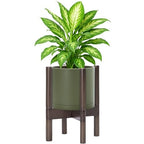 D'vine Dev Plastic Pot with Walnut Wood Stand, Olive, 8 in, 55-C-I-3 by DvineDevPlanterPotsandStand
