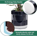Phoenix Vine 8 Inch Self Watering Terracotta Planter, Black Terracotta Clay Pot with Glass Reservoir for Indoor Plants, Herbs, Flowers, Set of 1, 52-C-H-1 - Image 5