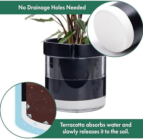 Phoenix Vine 8 Inch Self Watering Terracotta Planter, Black Terracotta Clay Pot with Glass Reservoir for Indoor Plants, Herbs, Flowers, Set of 1, 52-C-H-1 - Image 5
