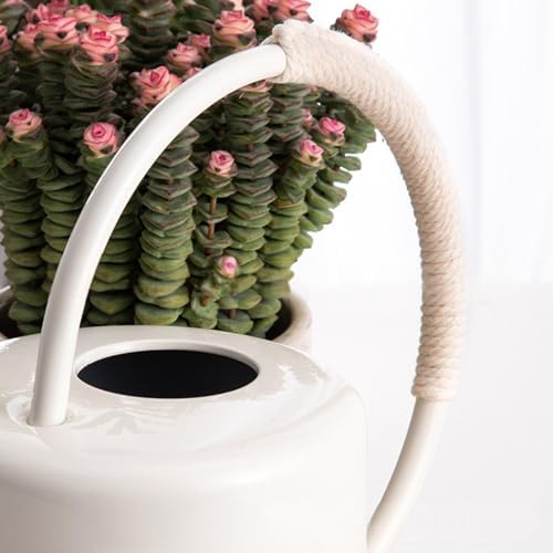 Indoor Watering Can for House Plant Stainless Steel Watering Can Metal with Long Spout Indoor Plant Pots 1300ml - Image 6