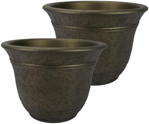The HC Companies Sierra Round Self-Watering Pot - Lightweight Plastic Planter for Herbs & More - Durable Plant Pots for Indoor Plants & Outdoor Plants (10” Celtic Bronze, Pack of 2) by TheHCCompanies