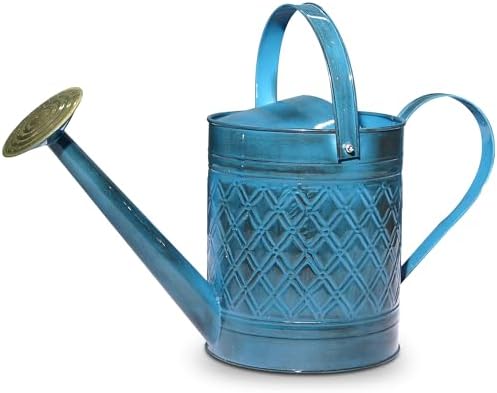 Headwind Wexley 2 Gallon Watering Can, Large Metal Watering Can Outdoor with Brass Rose Sprinkler Head, Vintage Galvanized Steel Garden Watering Can – Mountain Blue Wave by Headwind