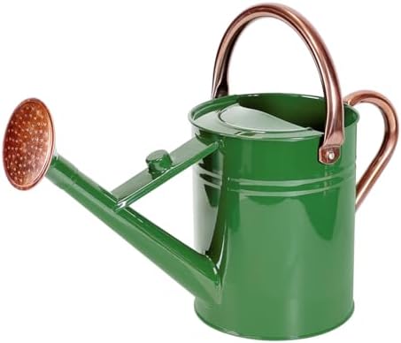 1 Gallon Metal Watering Can with Removable Spout, Nice Galvanized Steel Water Can for Indoor and Outdoor Plants (House Plants) by Megawodar