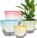 4-Piece Planter Set, 12/10/9/8-inch Self-Watering Pots with Drainage Holes, Deep Trays, Water Level Indicators, Suitable for Plants (12/10/9/8-inch, White Gradient Design) by Unknown