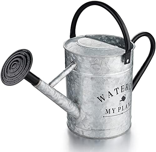 Garutom Galvanized Watering Can for Outdoor Indoor Plants, 1 Gallon Decorative Countryside Style Water Can with Removable Spout, Perfect Metal Watering Can for Indoor Plants and Garden Flower by Garutom