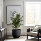 Kante Large Round Bowl Black Concrete Planter 18" Dia, Outdoor - Image 4