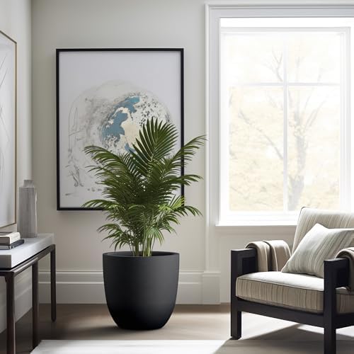 Kante Large Round Bowl Black Concrete Planter 18" Dia, Outdoor - Image 4