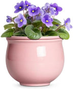 8 Inch Ceramic Self Watering Planter with Absorbent Inner Pot, Pink by Teagas