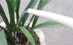 Watering Pot Lightweight Plastic Watering Can with Sprinkler Head Plant Watering Kettle Long Stem Spout for House Indoor Plant Watering Pot Practical (A) - Image 3