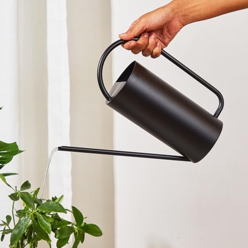 51oz Stainless Steel Watering Can, Long Spout Houseplant Waterer - Image 7
