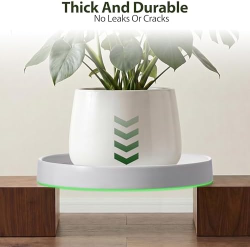 Ceramic Plant Saucer 8.5 Inch 2 Pack White, Fits Pot Base Under 8 Inch - Image 7