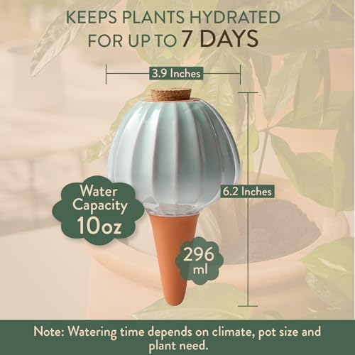 Modern Sprout Terracotta Self-Watering Bulbs, 10oz - Plum - 2Pk - Image 3