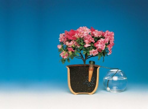 Blumat 12500 Junior Counter Display Box Automatic House Plant Watering, 25-Pack - Image 7