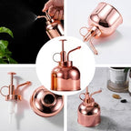 300ml Plant Mister Watering Bottle Stainless Steel Vintage with Pump - Image 6