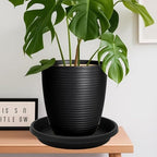 NIMYAU 2 Pack Large Plant Saucer 20 Inch, Extra-Large Deep Plant Trays for Pots, Plant Drip Trays, Plant Water Catcher Tray for Plants, Plastic Plant Saucers for Indoors no Holes - Image 5
