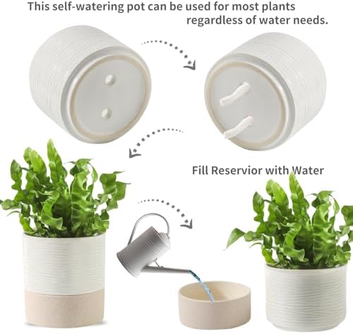 Nihow Ceramic Self Watering Plant Pot for Indoor Plants, 4.5+6 Inch - Image 3