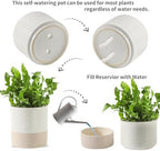 Nihow Ceramic Self Watering Plant Pot for Indoor Plants, 4.5+6 Inch - Image 3