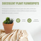 Flower Pot 10pcs Pottery with Drainage Hole Red - Image 6