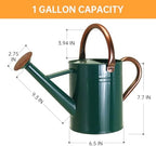 Metal Watering Can for Outdoor Plants, 1 Gallon Galvanized Steel Watering Can with Removable spout for Outdoor & Indoor Use, Perfect for Garden Flower, Houseplants, Forest Green - Image 2