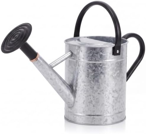 1 Pcs 1 Gallon Metal Watering Can for Indoor Outdoor Plants, Galvanized Garden Water Can with Long Spout and Dual Handles, Large Silver Watering Pot for Flowers, Houseplants, Yard by Ferrochef