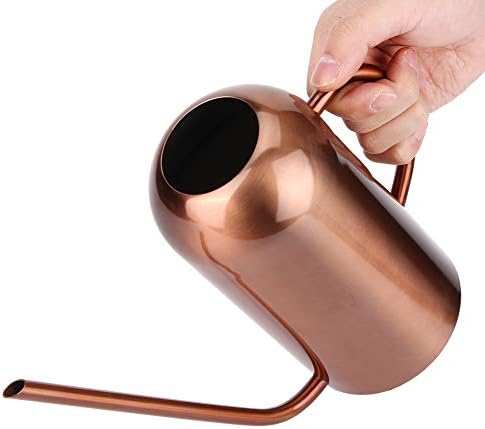 1500ml/52oz Stainless Steel Long Spouted Watering Can, Indoor Plants Watering Can with Handle for Watering Potted Plants and Flowers - Image 5