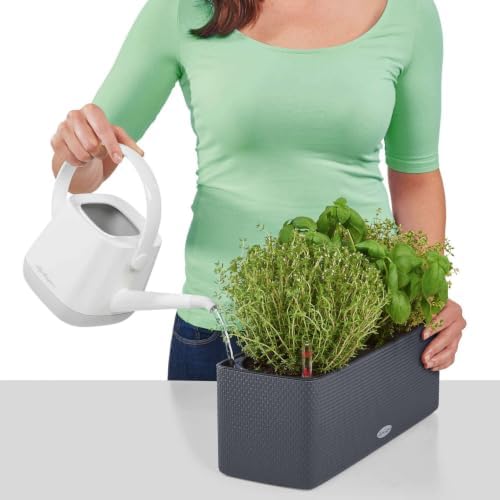 YULA Watering Can for Houseplants, White and Pearl Rose, 1.7 L - Image 5