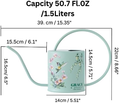 Indoor Watering Can & Mist Spray Bottle Set for Indoor Plants - Decorative - Image 5