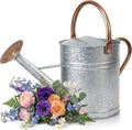 1 Gallon Galvanized Watering Can Outdoor, Large Garden Plant Watering Can by Unknown