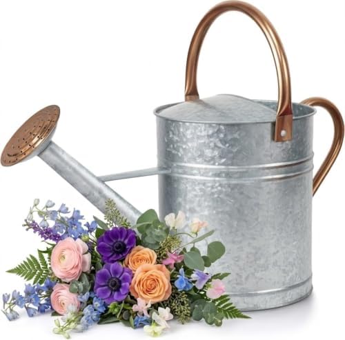 1 Gallon Galvanized Watering Can Outdoor, Large Garden Plant Watering Can by Unknown
