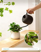 Baffect Watering Can Indoor Plants with Long Spout, 1.2L / 41oz (Black) - Image 3