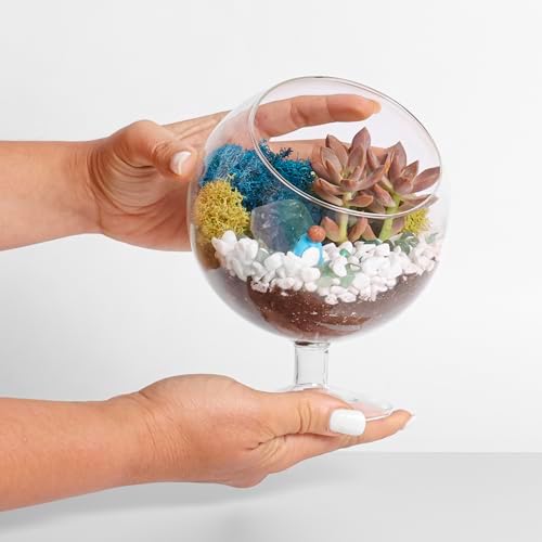 Creations by Nathalie DIY 6" Chalice Terrarium Kit Build Your Own Glass Terrarium for Adults & Teens, DIY Terrarium Kit with Live Moss, Crystals, Soil (Plant Not Included) - Image 5