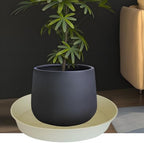3 Pack of 25 26 inch Plant Saucer (22.7 Inch Base), 4.2" Depth, Large Deep Plastic Flower Planter Water Trays for Indoors Outdoor Bath Bath, Plant Drip Trays for Pot (26", Beige) - Image 4